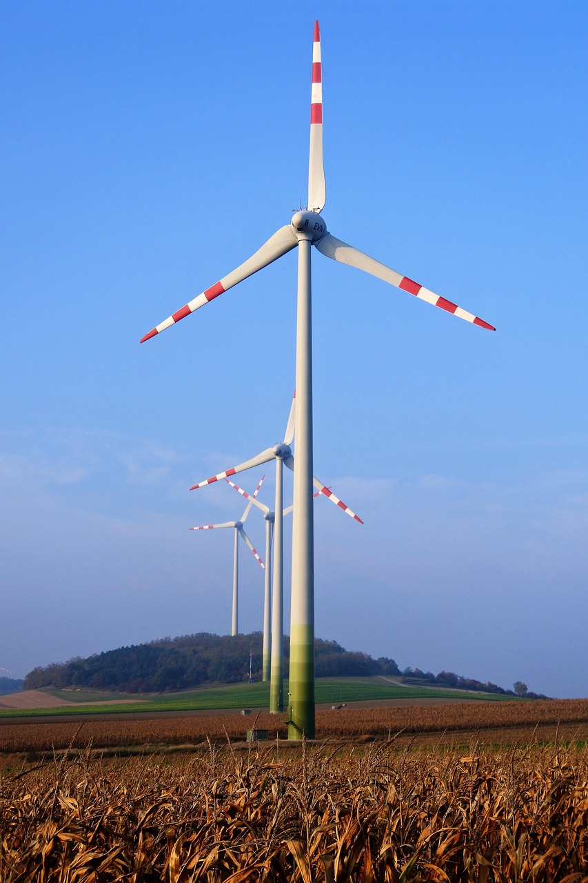 寿县天气风力 [寿县天气风力情况]