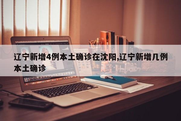 辽宁新增4例本土确诊在沈阳,辽宁新增几例本土确诊