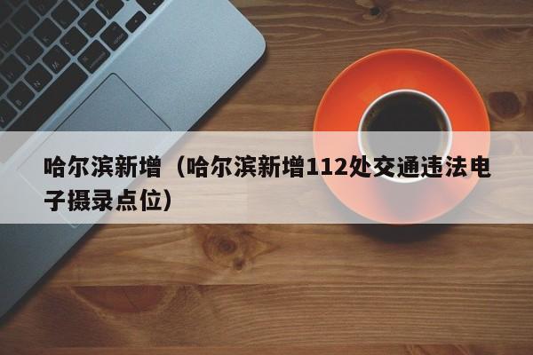 哈尔滨新增(哈尔滨新增112处交通违法电子摄录点位)