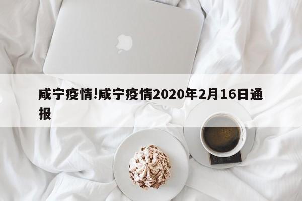 咸宁疫情!咸宁疫情2020年2月16日通报